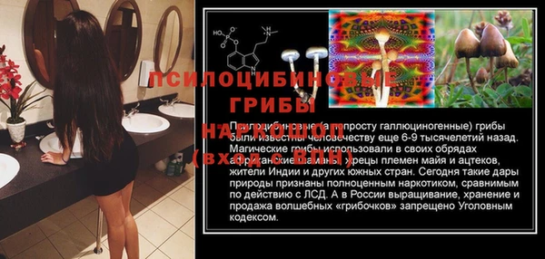 соль курить ск Алзамай